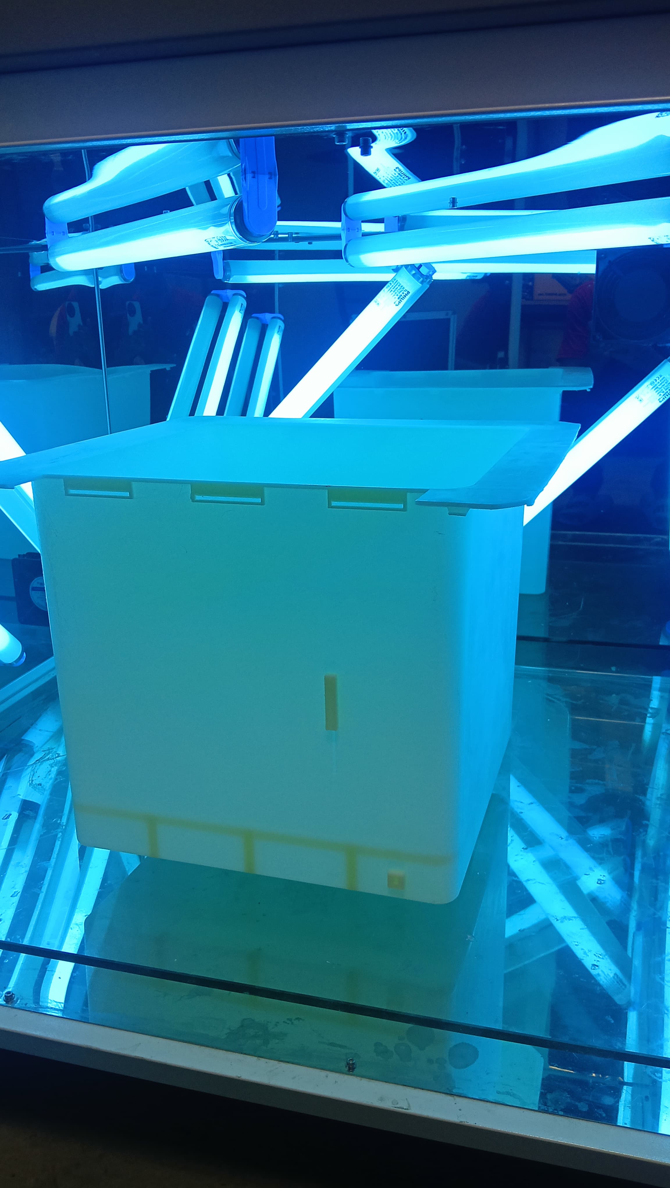 Prototype component under blue inspection lighting